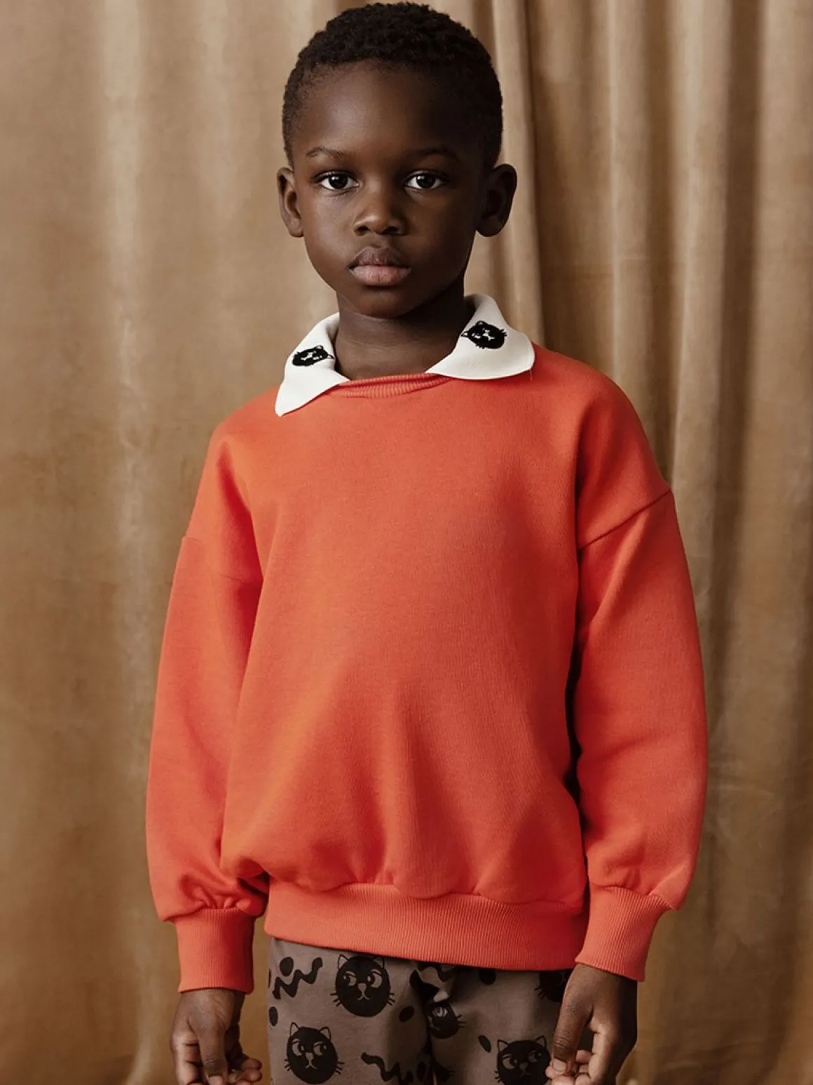 Cats Collar Sweatshirt