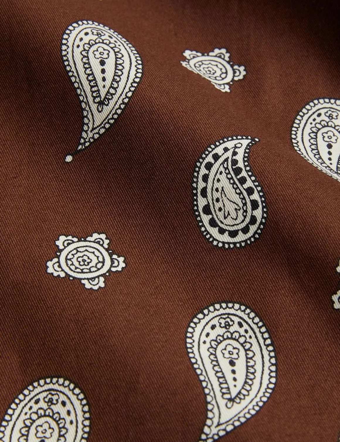 Paisley Woven Dress
